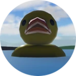 duck.