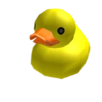 Ducks