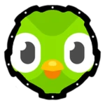 DUOLINGO!