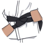 Earn Black Belt