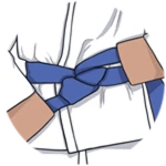 Earn Blue Belt