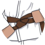 Earn Brown Belt