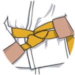 Earn Yellow Belt