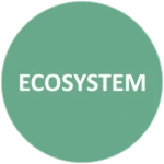 Ecosystem 1 Visitor