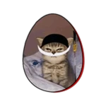 egg