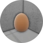 Egg