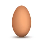Egg Coil Unlocked #2025