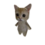 eL gAto