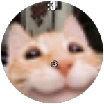 El Gato