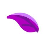 Elder