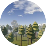 Enter the forest