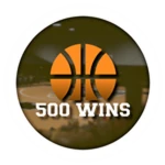 Experienced Rec. Player