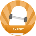 Expert Skater