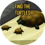 Find The Turtles