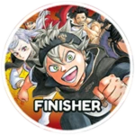 Finisher12