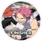 Finisher13