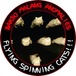 FLYING SPINNING CATS!!!