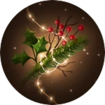 Following the Wishing Star