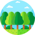 Forest World