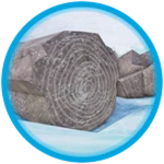 Fossil Forest! 🌲