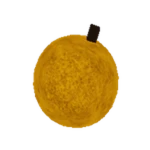 Found Golden Coconut