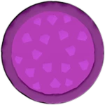 Gem Pizza