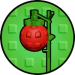 GIANT TOMATO
