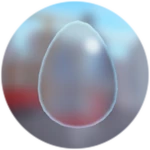 Glass Egg