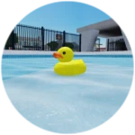 Go for a swim