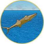 Gold Mackerel