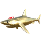 Golden Sharky