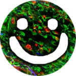 Green Secrets