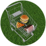 grocery shopping