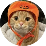 halloween event 2026 finalized