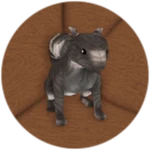 Harry The Squirrel