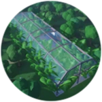 Harvest 1,000 plants