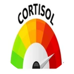high cortisol