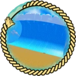 Hit by Wave 6