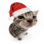 i find the christmas hat (event)
