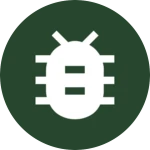 Insects