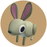 Jackrabbit