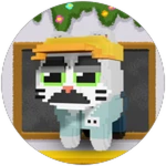 Janitor