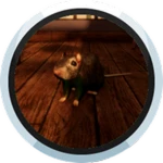 Kill the Rat