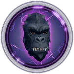 Kong Head