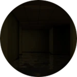 Level 0.8: Submerged