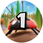 Level 1 (Beginning)