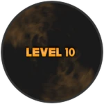 Level 10