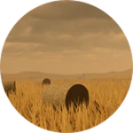 Level 10.3: Hay Bale Heaven