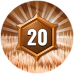 Level 20