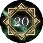 Level 20